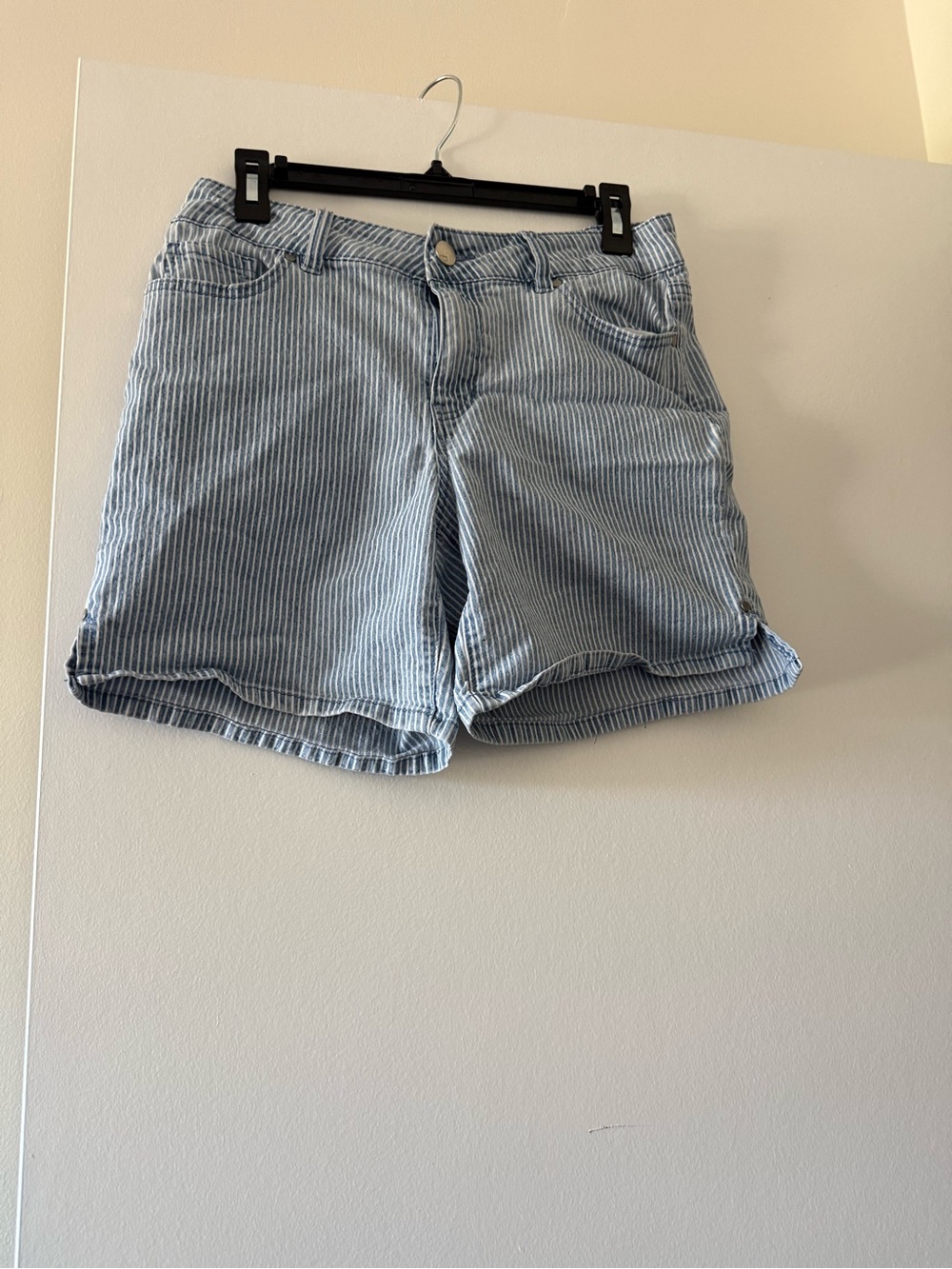 d. jeans Light Blue Pinstripe Cotton Shorts